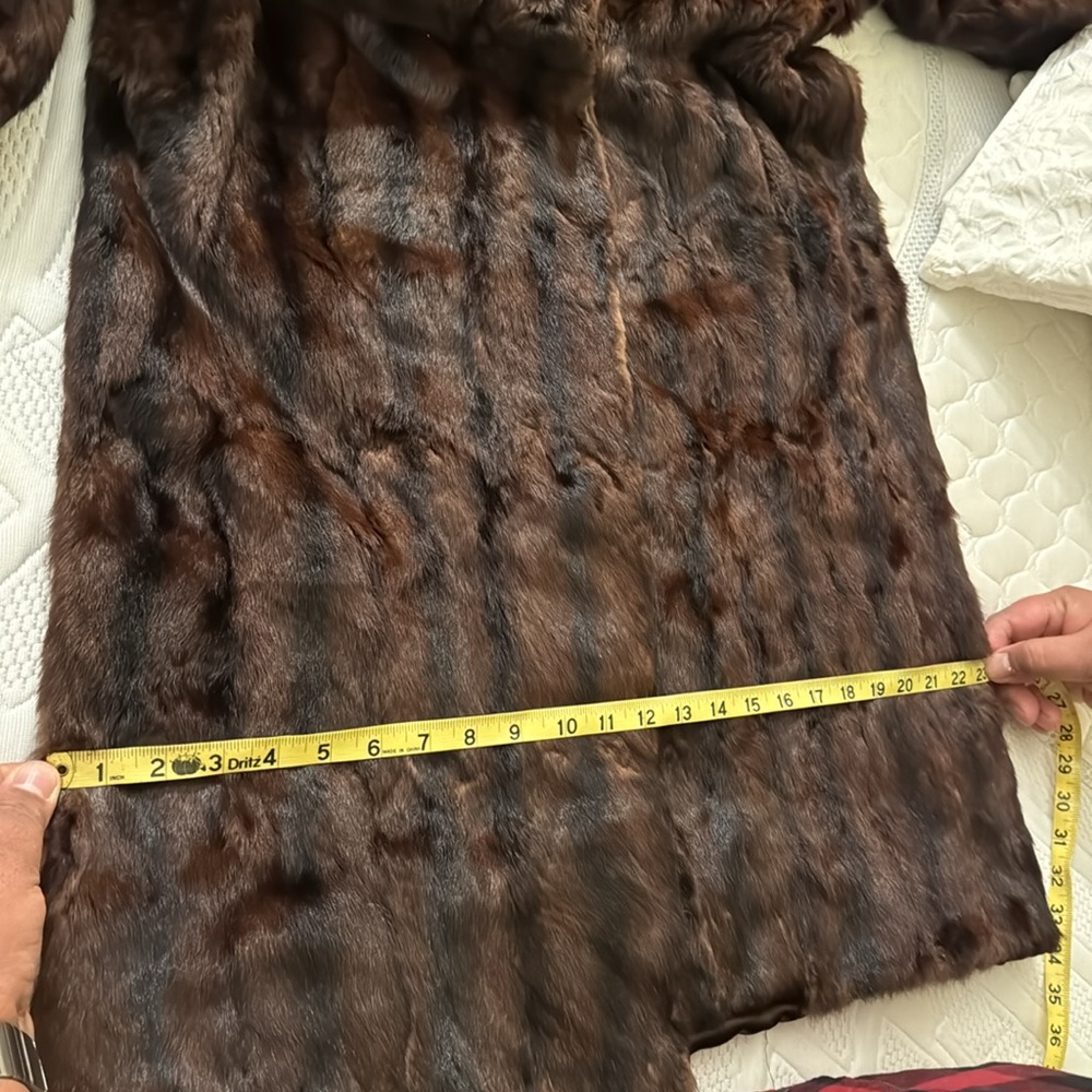 Beaver Fur View 6